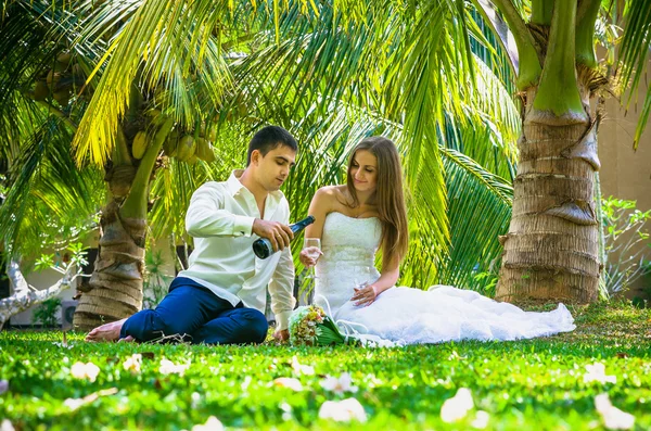 Novia y novio bebiendo champán —  Fotos de Stock