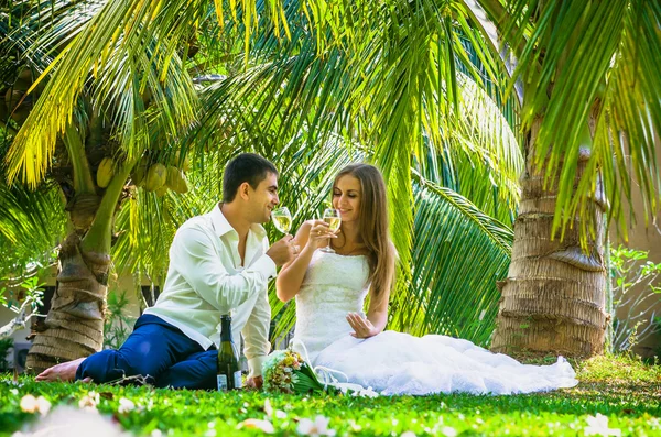 Novia y novio bebiendo champán —  Fotos de Stock