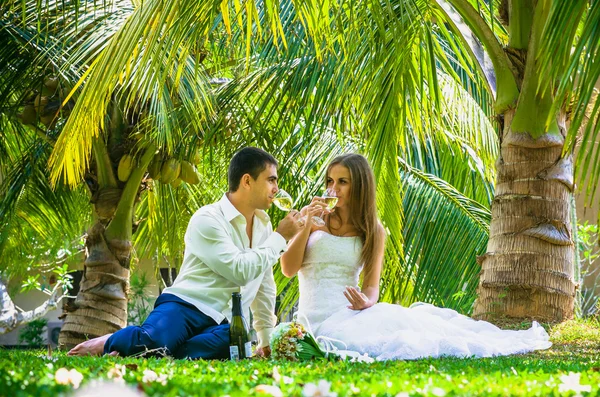 Noiva e noivo bebendo champanhe — Fotografia de Stock