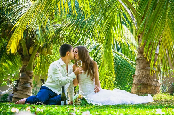 Novia y novio bebiendo champán — Foto de Stock