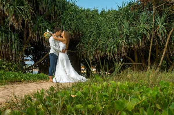 Happy newlyweds — Stock Photo, Image