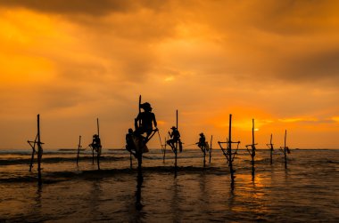 sri Lanka günbatımında balıkçıların geleneksel Silhouettes