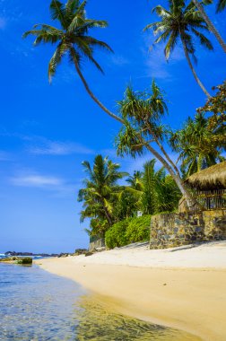 sri Lanka tropikal plaj