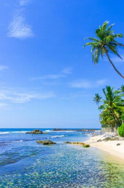 sri Lanka tropikal plaj