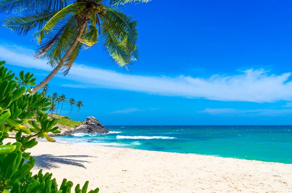 Plage tropicale au Sri Lanka — Photo