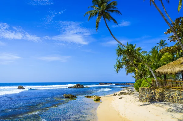 Praia tropical no Sri Lanka — Fotografia de Stock