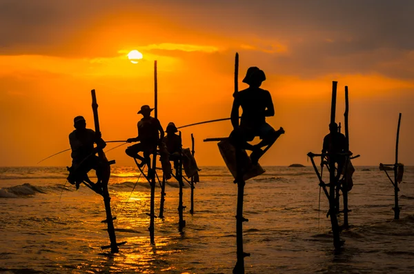 sri Lanka günbatımında balıkçıların geleneksel Silhouettes