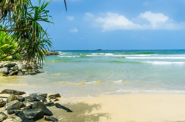 在斯里兰卡的热带海滩 — 图库照片