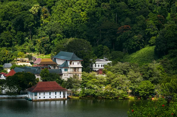 Vista de la ciudad de Kandy y templo Buddhist —  Fotos de Stock