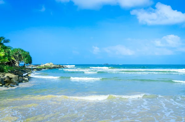 Tropical beach in Sri Lanka — Stock Photo, Image