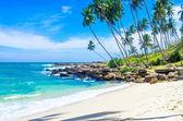 Картина, постер, плакат, фотообои "tropical beach in sri lanka", артикул 47744165
