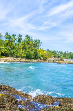 sri Lanka tropikal plaj