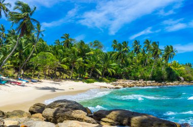 sri Lanka tropikal plaj