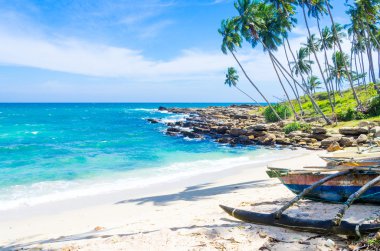 sri Lanka tropikal plaj