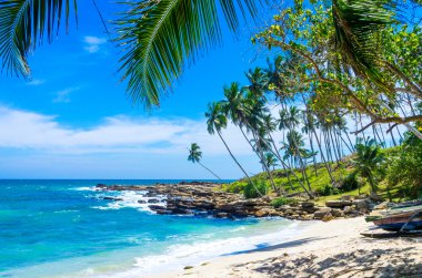 sri Lanka tropikal plaj