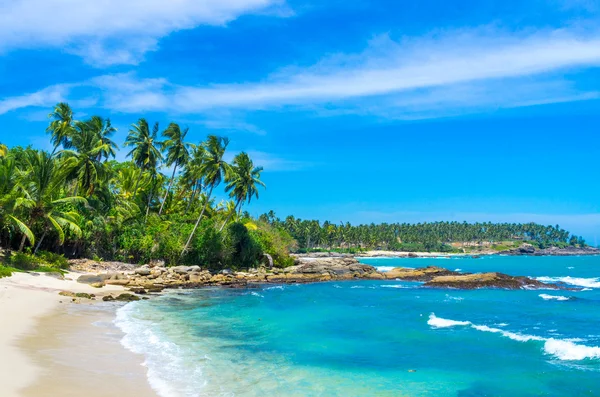 sri Lanka tropikal plaj