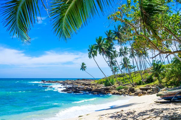 Tropisk strand i sri lanka — Stockfoto