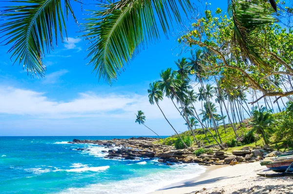 Praia tropical no Sri Lanka — Fotografia de Stock