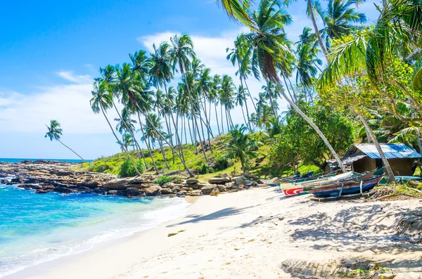 Tropikalnej plaży w sri lanka — Zdjęcie stockowe