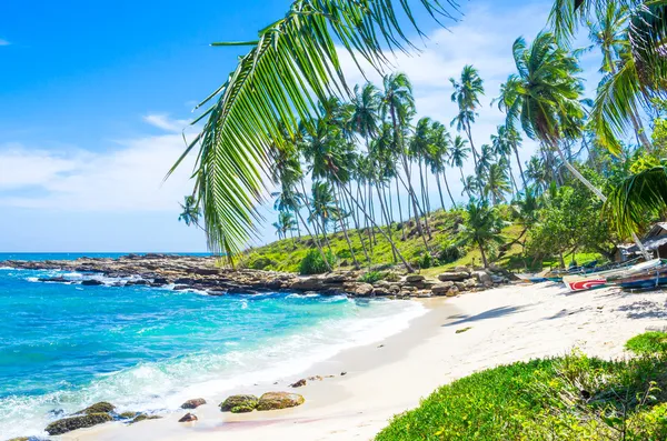 Praia tropical no Sri Lanka — Fotografia de Stock