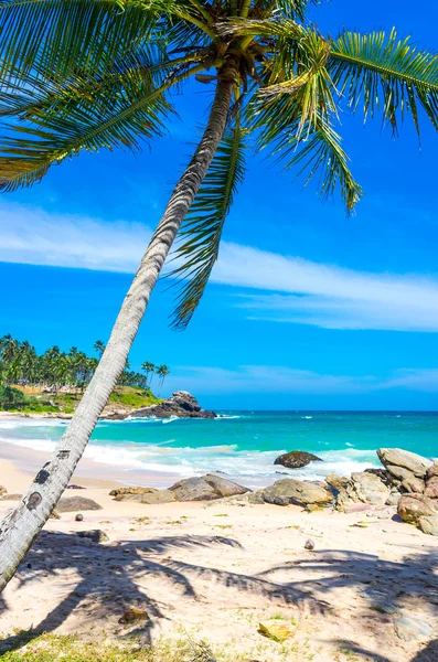 Srí Lanka trópusi tengerpart — Stock Fotó