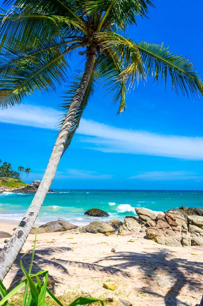 Praia tropical no Sri Lanka — Fotografia de Stock