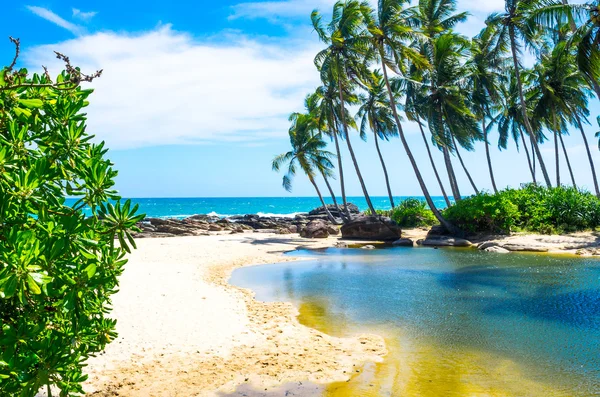 Praia tropical no Sri Lanka — Fotografia de Stock