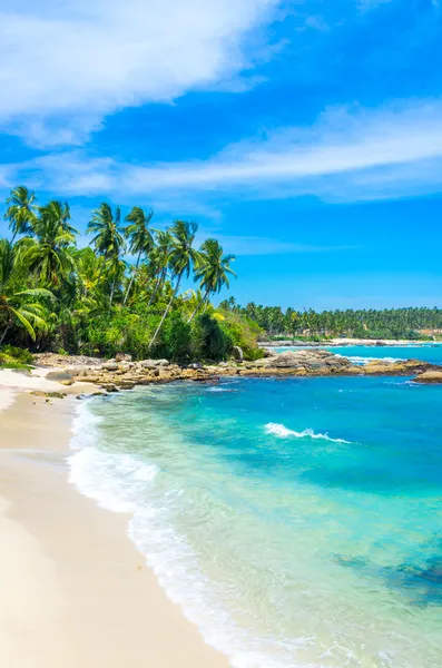 Tropischer strand in sri lanka lizenzfreie Stockbilder