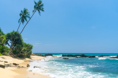 sri Lanka tropikal plaj