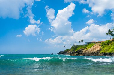 sri Lanka tropikal plaj