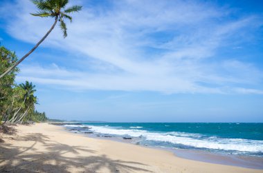 sri Lanka tropikal plaj