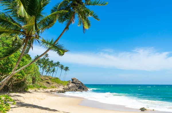 Praia tropical no Sri Lanka — Fotografia de Stock