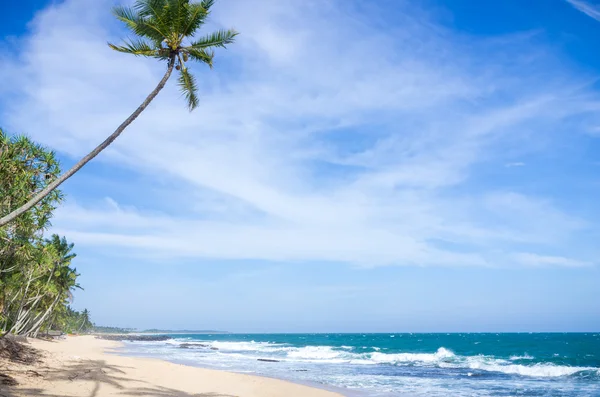 Tropical beach in Sri Lanka — Stock Photo, Image