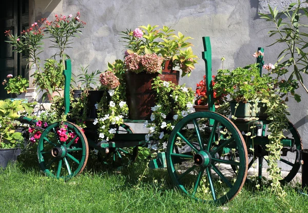 色とりどりの花で古い木製のカート — ストック写真