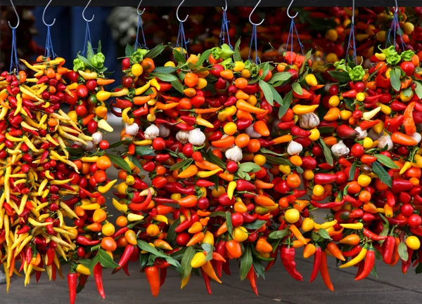 Bunches of peppers — Stock Photo, Image