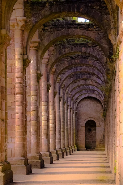 Ruínas da Abadia Velha — Fotografia de Stock