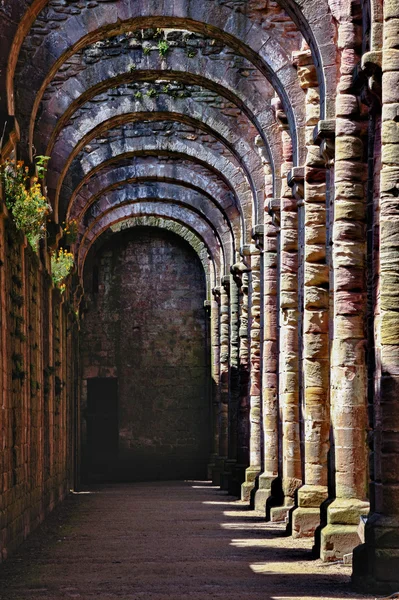 Rovine della vecchia abbazia — Foto Stock