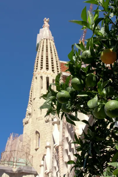 Sagrada Familia Barcelone — Photo