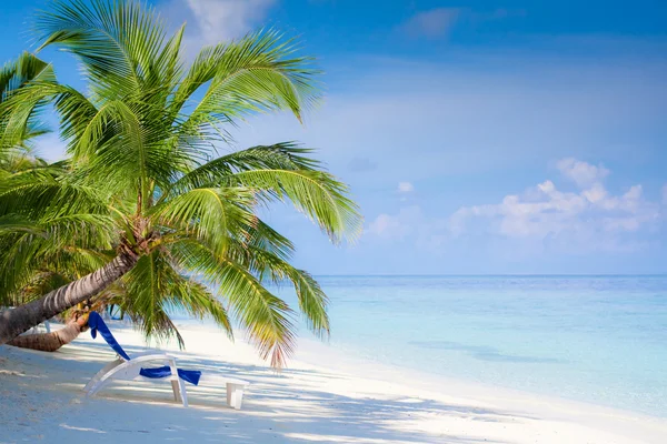 Plage sur île tropicale Images De Stock Libres De Droits