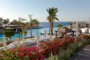 Mısır'daki otel havuz