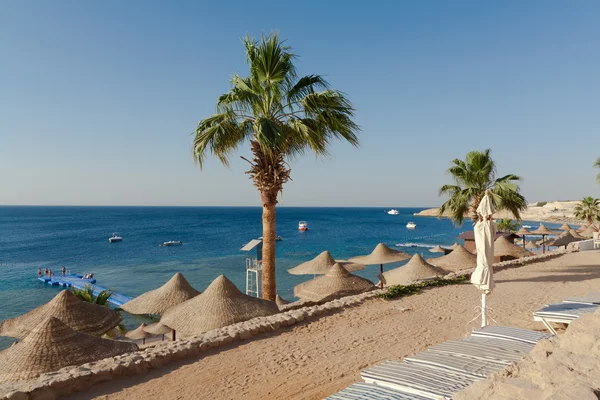 Seaside of Red sea in Egypt — Stock Photo, Image