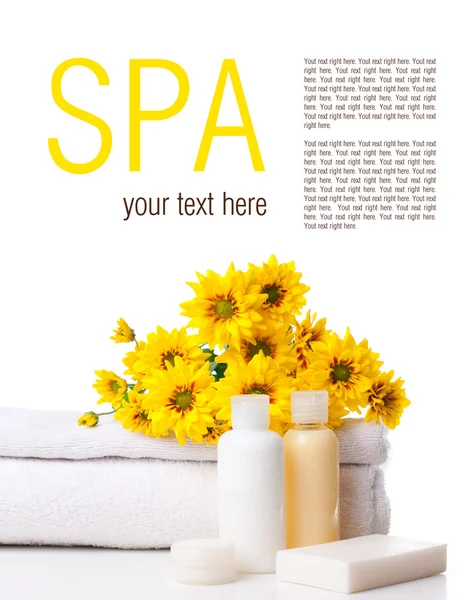 Products for body care and spa template — Stock Photo, Image