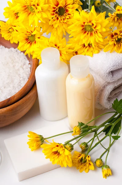 Close-up of products for spa and body care — Stock Photo, Image