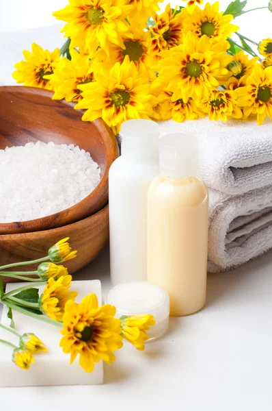 Close-up of products for spa and body care — Stock Photo, Image