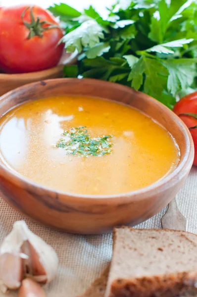 Vegetarische Gemüsesuppe — Stockfoto