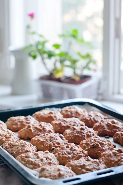 Homemade cookies on a baking tray — Stock Photo, Image