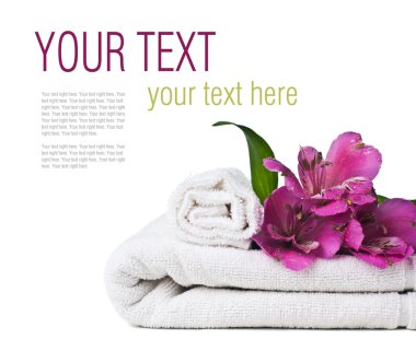 izole, spa ve hijyen kavramı, hazır şablon