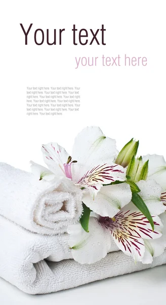Spa and hygiene concept, isolated, ready template — Stock Photo, Image