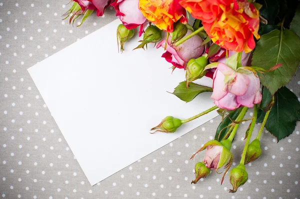 Rosas e papelão branco em um tecido cinza — Fotografia de Stock