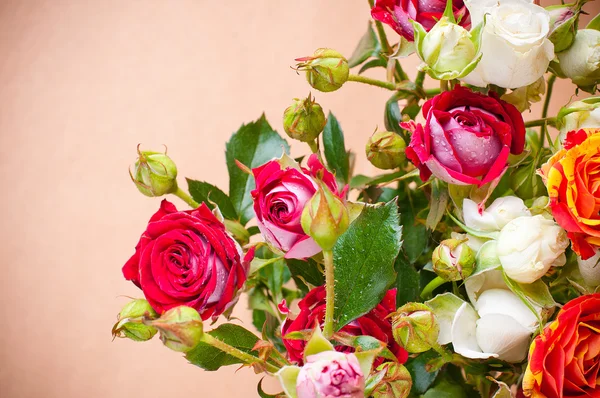 Kytice různobarevné růží na hnědé pozadí — Stock fotografie